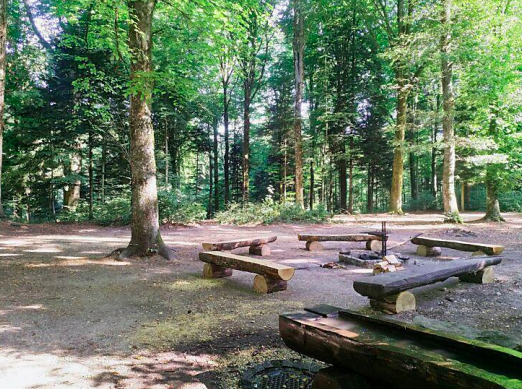 Bevölkerungsbefragung: Rund 950 Personen äußern sich zum Längholzwald 